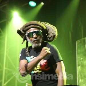Steel Pulse Ventura Ca 12