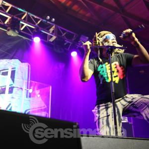 Steel Pulse Ventura Ca 16