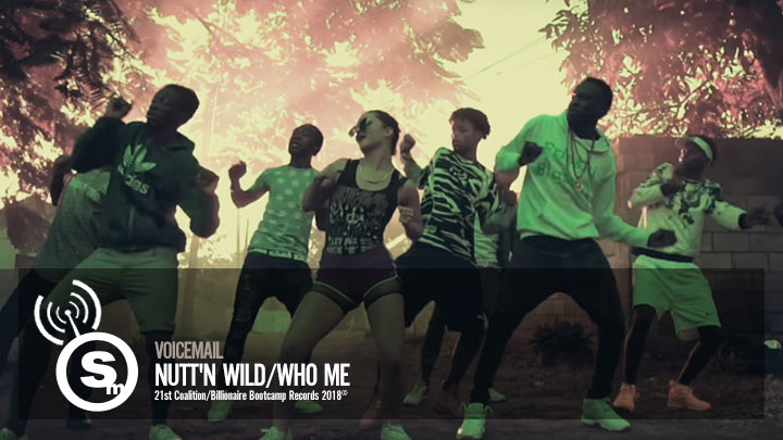 Voicemail - Nutt'n Wild/Who Me