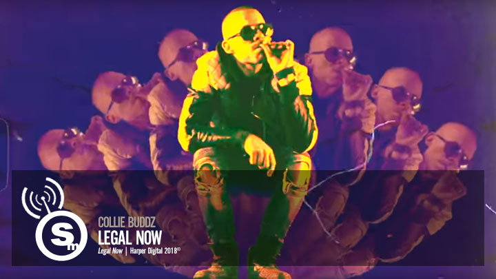 Collie Buddz - Legal Now