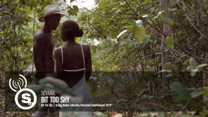 Sevana - Bit Too Shy