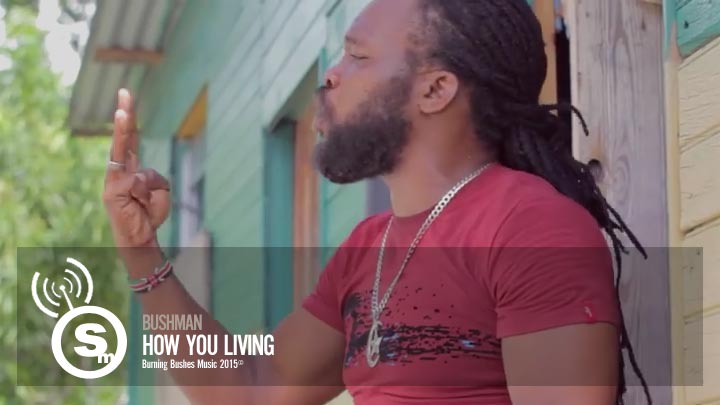 Bushman - How You Living