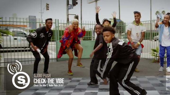 Audio Push - Check The Vibe
